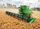 В сезоне 2022 урожайность озимой пшеницы в Липецкой области на 44% выше прошлогодней